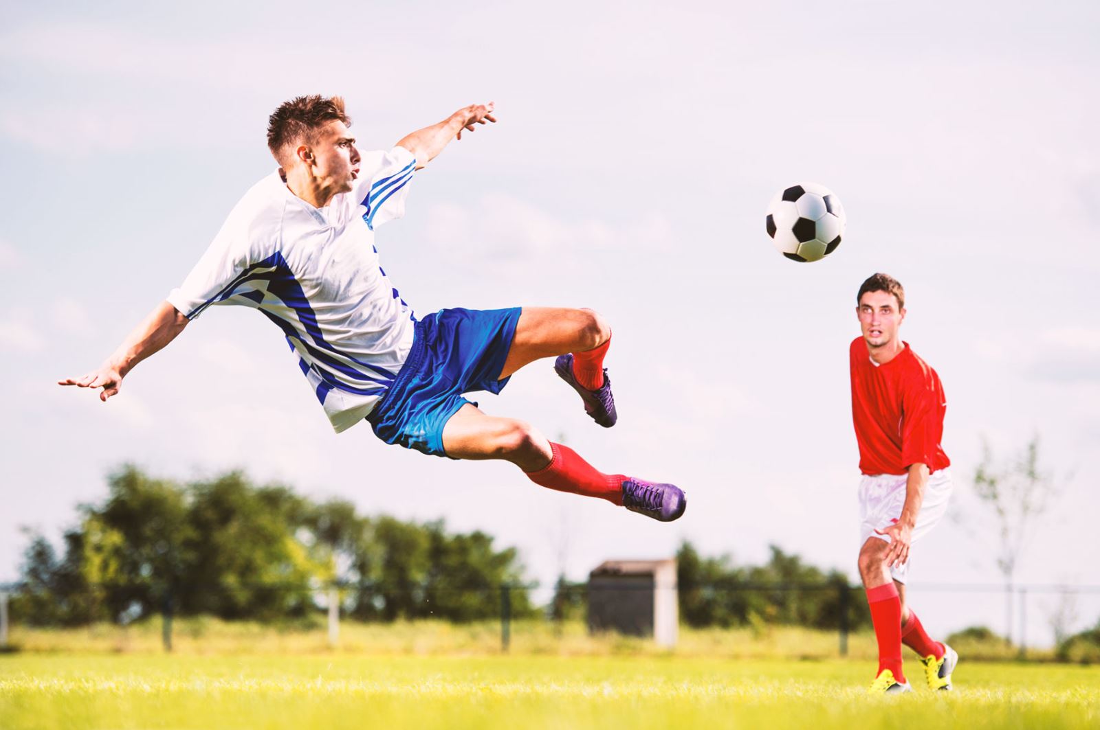 球赛场上 球赛场上