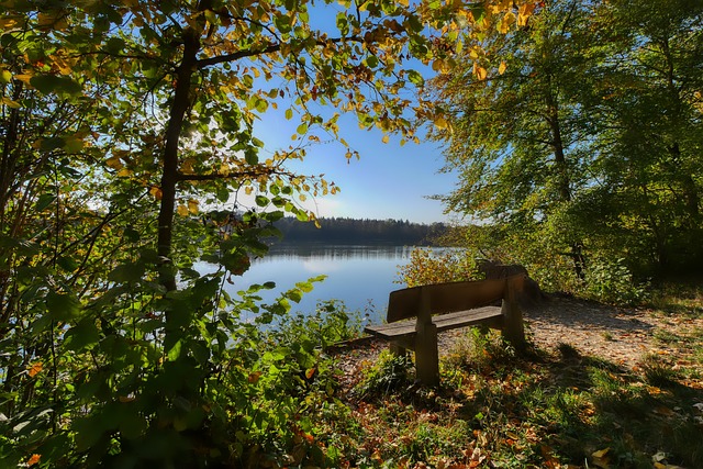 意甲第6輪桑普多利亞1-2AC米蘭 萊奧染紅梅西亞斯破門吉魯點射.