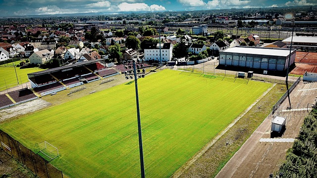 维奇成为意 维奇成为意