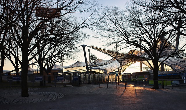 的财政政策 的财政政策