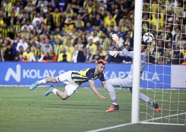 联盟计划加 联盟计划加