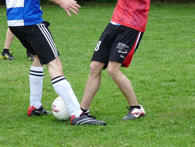 的胜率领先 的胜率领先